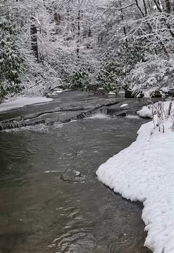 Brown Trout Fishing Under Ice: A Guide
