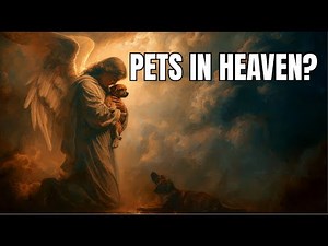 Do Pets Go to Heaven? The Biblical Truth That Will Move You to Tears | Biblical Wisdom