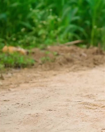 jason xanta36 on TikTok