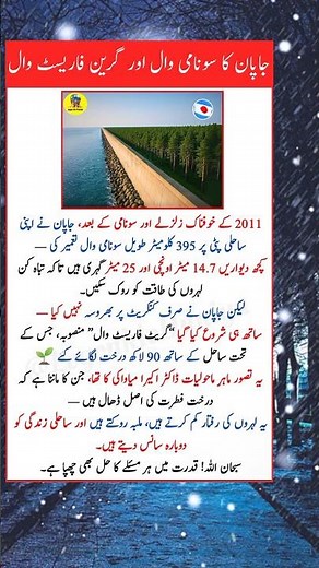 Japan’s 395km Wall That Stops Tsunamis