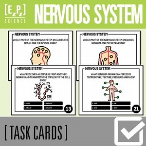 Nervous System Task Cards Activity | Print and Digital Science Task Cards