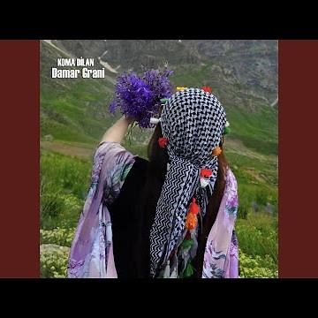 Hızlı Halay
