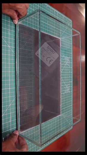 Set Up New Aquarium Tank Step-by-Step Guide