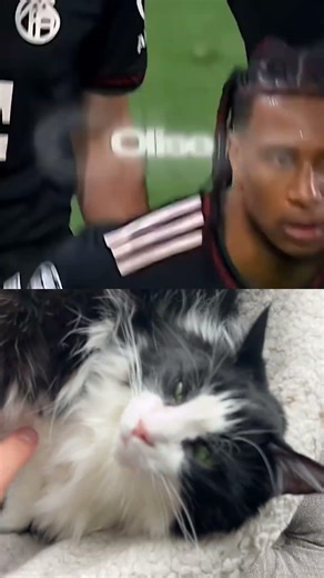 Holy fire song 🔥🔥🔥🥂🌊