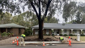 Trees cut down for contruction project