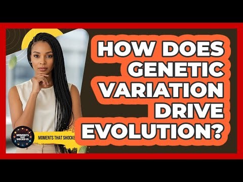 How Does Genetic Variation Drive Evolution?