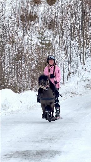 Skijoring with Black⛷️ THIS IS SO MUCH FUN😁 #shorts #horse #pony #skiing