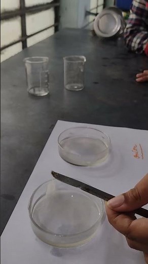 Spooling of DNA by students in Biology Lab.