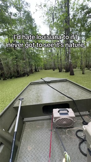 Exploring Louisiana's Swamps and Bayous