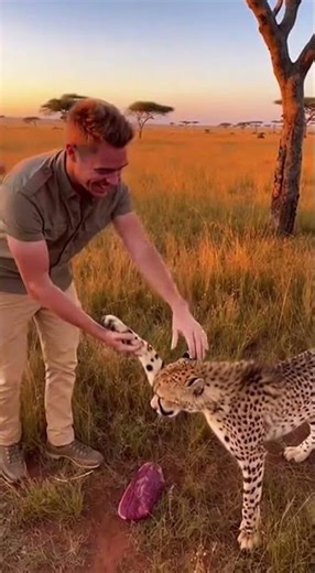 “Wildlife documentaries are FAKE and this proves it 🤯”