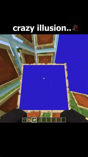 Minecraft crazy illusio moment