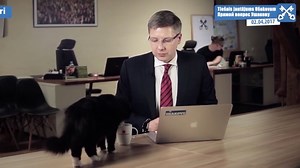 Wo die größten Katzenliebhaber wohnen