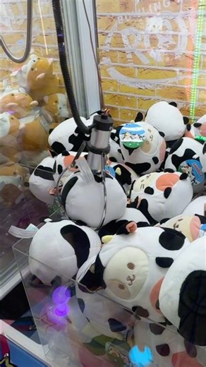 COWS BE JUMPIN! #clawmachine #cow