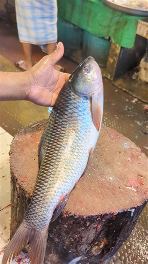 Quick & Perfect Rohu Fish Slice#Shorts