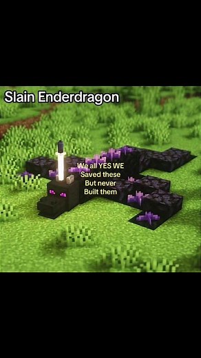 Minecraft dragon build saved then blown up surprise