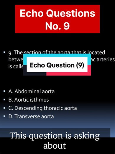 Important Questions in Echocardiography