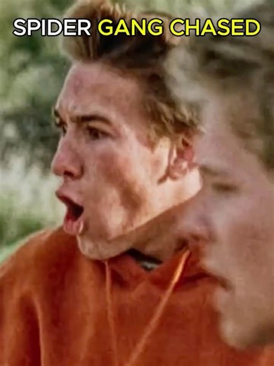 Bigger Spider Chases Motors