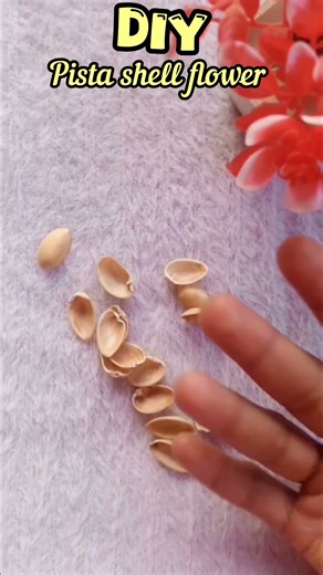 DIY pista shell flower at home # diy# viral # youtube # short # video
