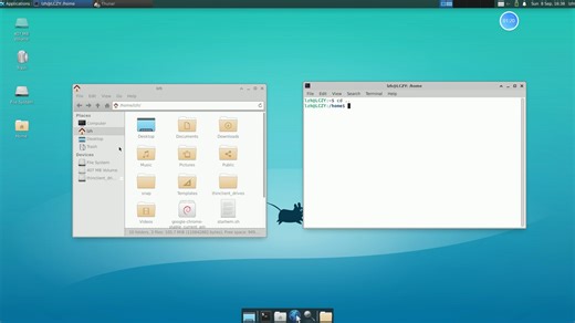 【WSL2】Linux基本命令的使用 by大学生小白