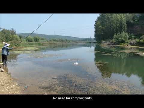 Rural Ponds & Ditches