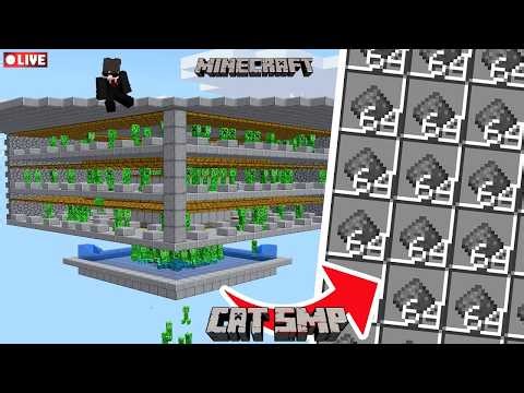 Minecraft SMP LIVE || PRIVATE SMP JAVA | PLAYING IN CAT SMP #live