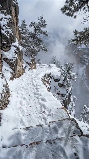 #nature #naturelover #naturevideos #snow #edge