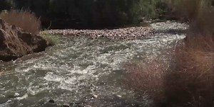 State of Arizona rivers