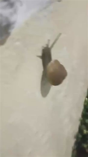 M Bunny Dubin on Reels