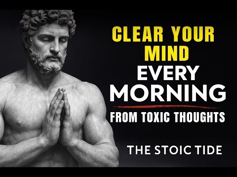 Clear Toxic Thoughts With These 9 Stoic Rules THE STOIC TIDE