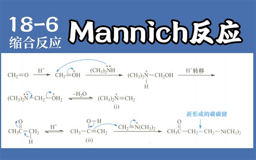 基础有机化学 L18-6 Mannich反应及其应用
