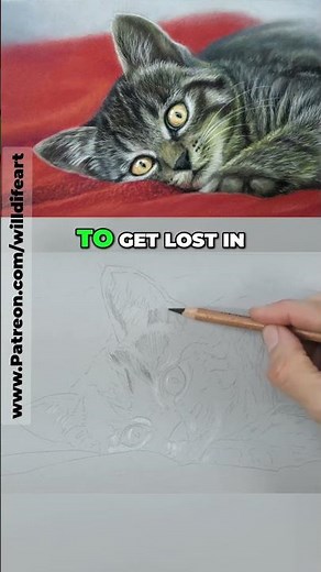 Pastel Pencil Guide: Mapping Lights & Darks in Your Art