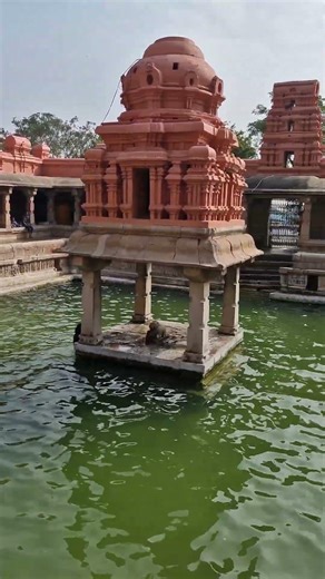 Divine Serenity at Yaganti Temple Koneru | Peaceful Temple Vibes 🕉️ #travel #nature