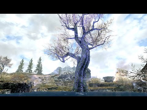 Sleeping Tree Camp - NEW Skyrim's Hidden Treasures!