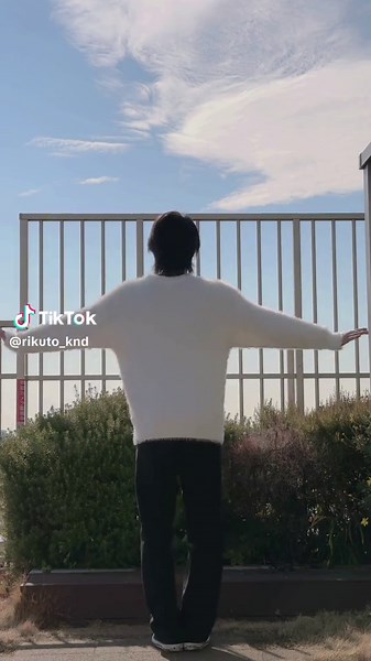 えれくとりっく・えんじぇぅで踊ってみた