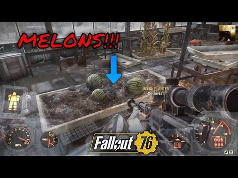 Fallout 76 HOW TO GET MELONS? | POSSUM BADGE