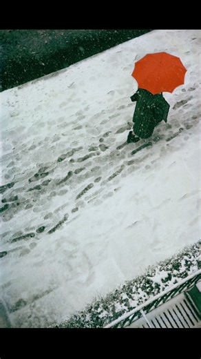 Saul Leiter: Color in the City Saul Leiter (1923–2013) was an American photographer and painter, renowned for his pioneering use of color in street photography. His work captures intimate, often fleeting moments in urban life, blending abstract composition, reflections and soft, painterly colors. Leiter’s photographs turn everyday streets, windows, and rainy scenes into poetic, almost dreamlike images, making him a unique voice in 20th-century photography. #saulleiter #simpleisbeautifulphotograp