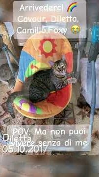 Ciao Cavour 🙏💔🌈 Ciao Diletta 🙏💔🌈 Ciao Foxy 🙏💔🌈 Ciao Camillo 🙏💔🌈