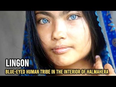lingon, blue eyes human tribe in the interior of halmahera