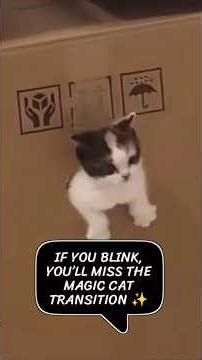 Cartoon Cats Are Coming Into Real Life! #YouTubeshorts #viralsgorts