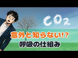 呼吸で重要なのは二酸化炭素#呼吸 #深呼吸 #二酸化炭