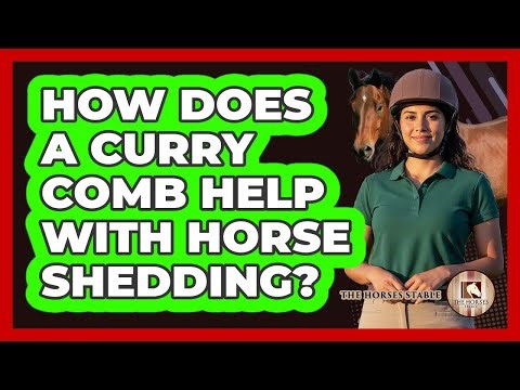 How Does A Curry Comb Help With Horse Shedding?