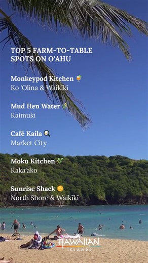 6.6K views | ️ Your cheat sheet to farm-to-table flavours on Oʻahu!​ ​ From laid-back brunch spots to modern Hawaiian kitchens, these locally owned, ocean-friendly picks serve up fresh ingredients and serious island vibes.​ ​ Tag your foodie friends and save this for your next Hawaiian getaway!​ ​  Video credit: Videezy.com​ ​ #VisitOʻahu #FarmToTable #LocalEats | Hawaii – gohawaii.com | Facebook