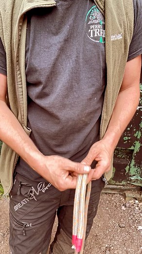 Adam Perry | Butterfly bend similar to the zeppelin bend . Used to join two ropes together , non jamming . #knots #knotskills #rope #ropework... | Instagram