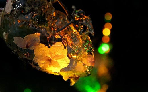 学生がつくる春の光景—夜桜とランタンのあかりが彩る一の矢 | NEWS - 筑波大学