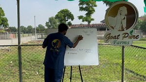 1.9K views · 72 reactions | Reasons for Infertility in Goats and...