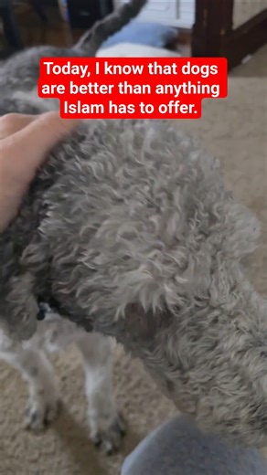 Islam's Hostility toward Dogs - Dogs Are Better than Islam