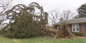 Behind the Forecast: Blowing over reasons why we’re so windy