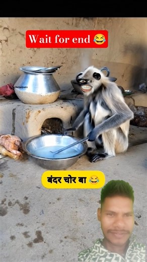 बानर चोर बा 😂🐒🐒#thetharpuns #heharpuns #funny #monkey #youtubeshorts