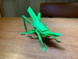 折り紙大好き！小学生(小3)男子が折る【ショウリョウバッタ】