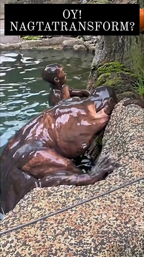 #transformation | Ruby Ruby